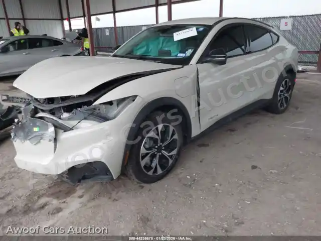 2025 Ford Mustang Mach-E 3FMTK1R45SMA55770 — photo 2 de la vente Iaai