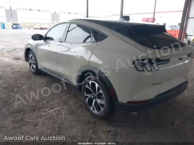 2025 Ford Mustang Mach-E 3FMTK1R45SMA55770 — photo 3 de la vente Iaai