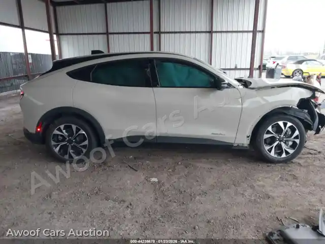 2025 Ford Mustang Mach-E 3FMTK1R45SMA55770 — photo 14 de la vente Iaai