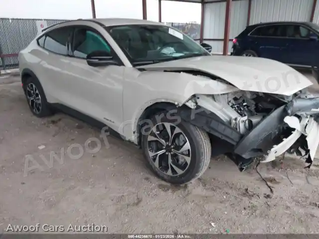 2025 Ford Mustang Mach-E 3FMTK1R45SMA55770 — photo 1 de la vente Iaai