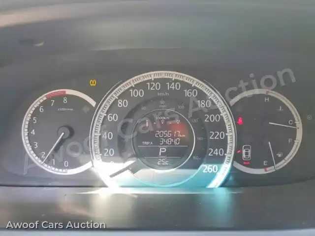 2013 Honda Accord 1HGCR2F87DA800789 — Copart auction photo 9