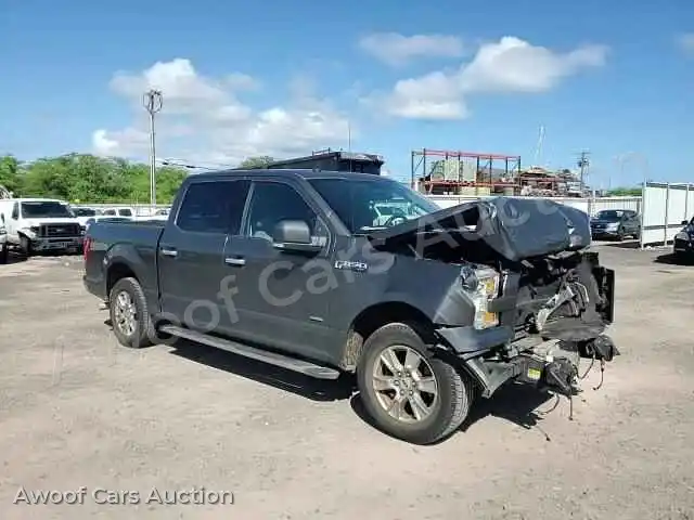 2016 Ford F150 1FTEW1CP1GKF05871 — Copart auction photo 14