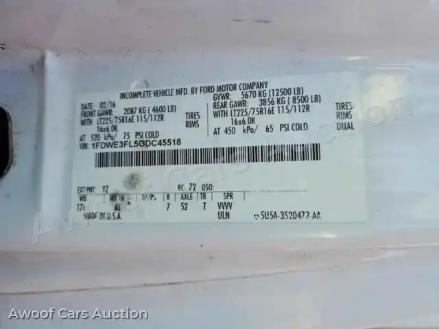 2016 Ford Econoline 1FDWE3FL5GDC45518 — Copart auction photo 10