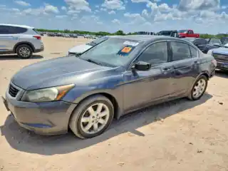 2010 Honda Accord