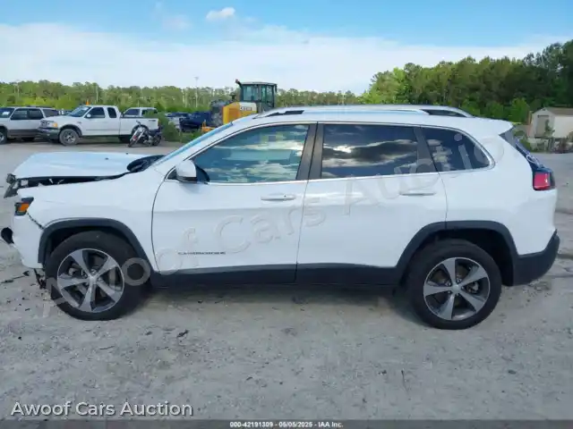 2019 Jeep Cherokee 1C4PJLDX1KD302882 — Iaai auction photo 14
