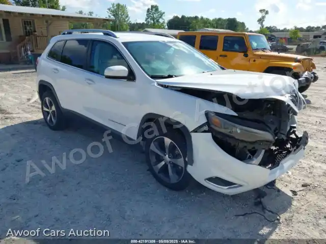 2019 Jeep Cherokee 1C4PJLDX1KD302882 — Iaai auction photo 1