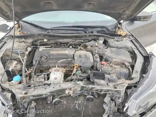 2013 Honda Accord 1HGCR2F36DA246360 — Copart auction photo 11
