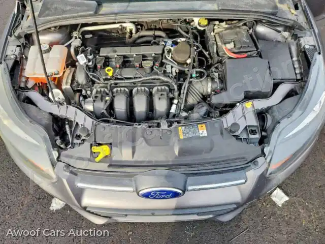 2014 Ford Focus 1FADP3K20EL290409 — Copart auction photo 11