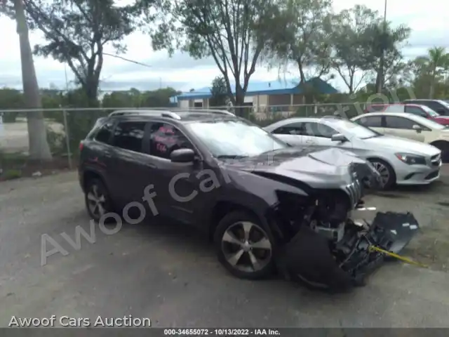 2019 Jeep Cherokee 1C4PJLDB4KD462453 — Iaai auction photo 1