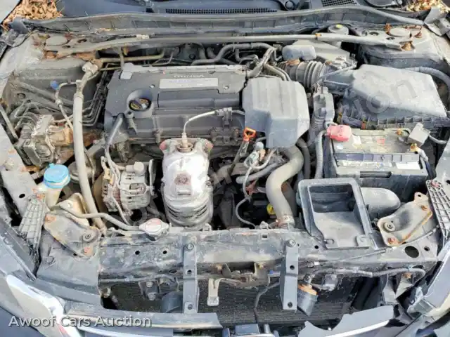 2013 Honda Accord 1HGCR2F88DA804835 — Copart auction photo 11