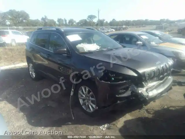 2016 Jeep Cherokee 1C4PJLDB2GW200118 — Iaai auction photo 1