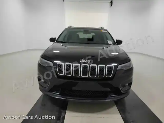 2019 Jeep Grand Cherokee 1C4PJLCBXKD488394 — Manheim auction photo 2
