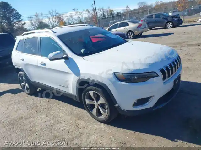 2019 Jeep Cherokee 1C4PJLDB4KD380805 — Iaai auction photo 1