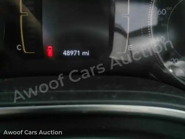 2020 Jeep Cherokee 1C4PJLCB5LD581065 — photo 9 de la vente Manheim
