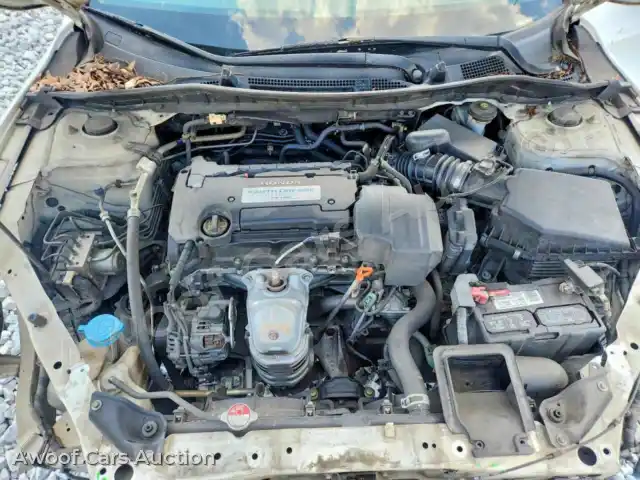 2013 Honda Accord 1HGCR2F3XDA217332 — Copart auction photo 11