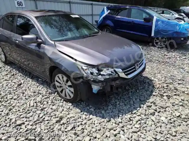 2015 Honda Accord 1HGCR2F73FA103596 — Copart auction photo 13