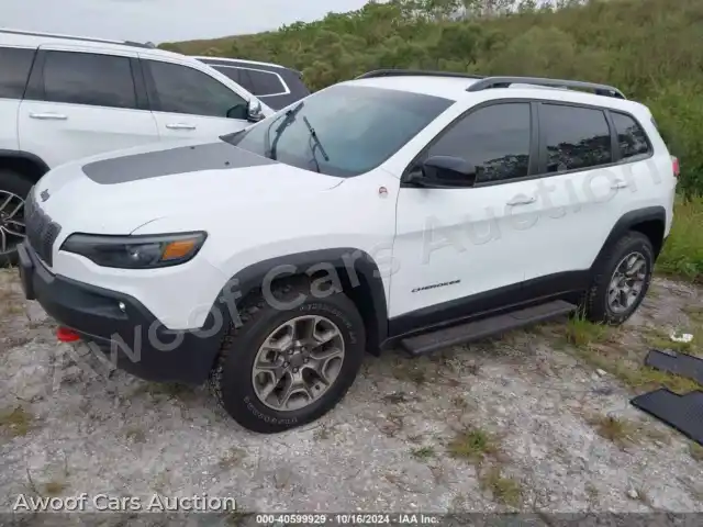 2022 Jeep Cherokee 1C4PJMBX8ND534487 — Iaai auction photo 2