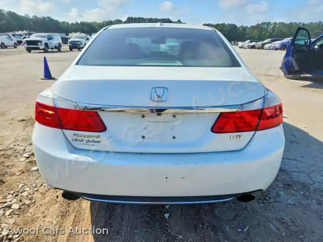 2013 Honda Accord 1HGCR3F87DA013637 — Copart auction photo 6