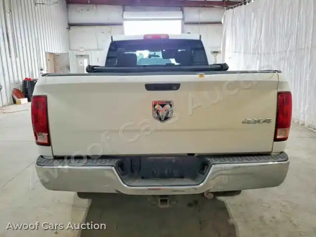 2010 Dodge RAM 1500 1D7RV1GT3AS239441 — Copart auction photo 6