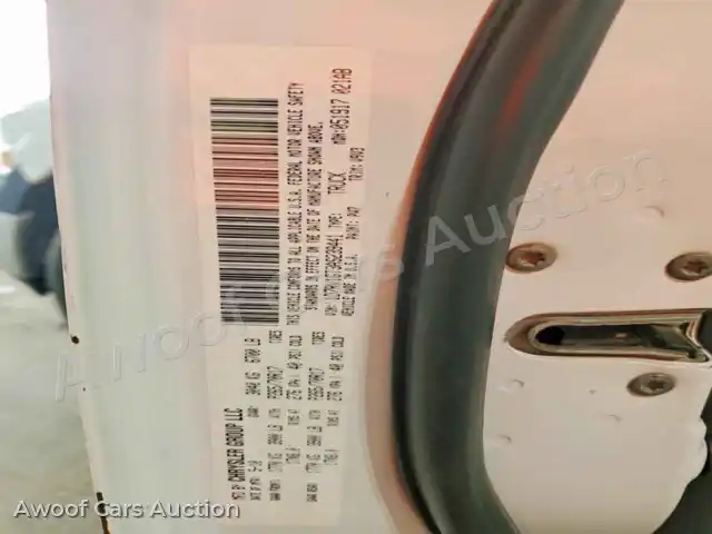 2010 Dodge RAM 1500 1D7RV1GT3AS239441 — Copart auction photo 12