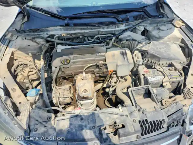 2013 Honda Accord 1HGCR2F32DA145283 — Copart auction photo 11