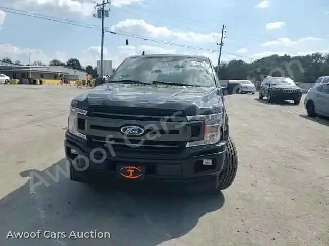 2019 Ford F-150 1FTEW1CP4KKD54274 — Copart auction photo 13