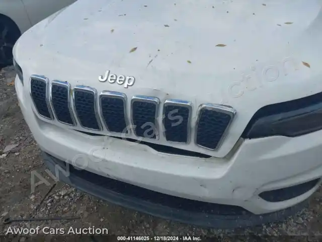 2019 Jeep Cherokee 1C4PJLLB6KD146294 — Iaai auction photo 6