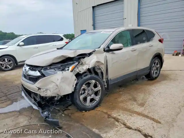 2019 Honda CRV 2HKRW1H5XKH502094 — Copart auction photo 1