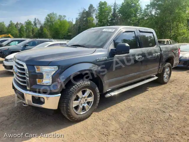 2016 Ford F150 1FTEW1EF7GFA73901 — Copart auction photo 1