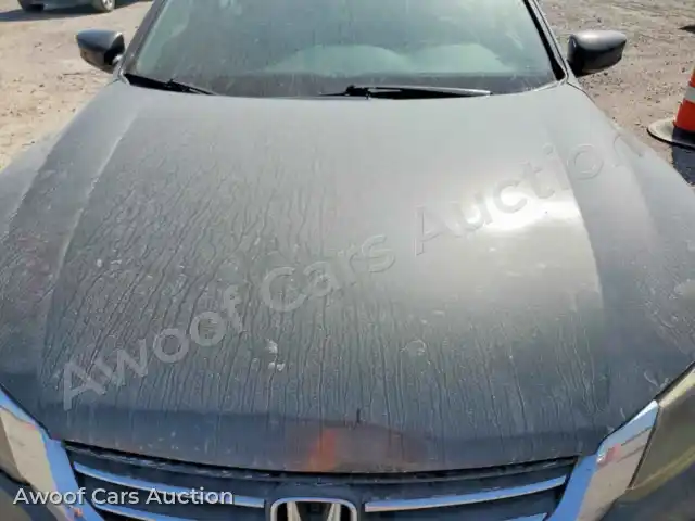 2014 Honda Accord 1HGCR2F52EA267757 — Copart auction photo 11