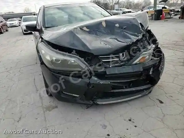 2014 Honda Accord 1HGCR2F50EA155359 — Copart auction photo 13