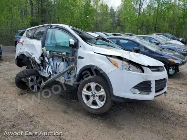 2016 Ford Escape 1FMCU0GXXGUA33249 — Copart auction photo 4