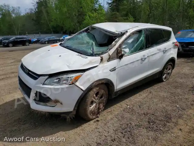2016 Ford Escape 1FMCU0GXXGUA33249 — Copart auction photo 1