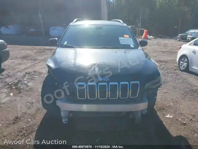2020 Jeep Cherokee 1C4PJLLB7LD642030 — Iaai auction photo 12