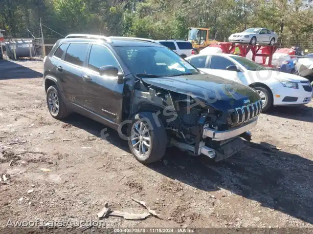 2020 Jeep Cherokee 1C4PJLLB7LD642030 — Iaai auction photo 1