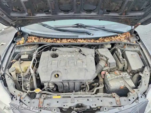 2010 Toyota Corolla 2T1BU4EE8AC439169 — Copart auction photo 11