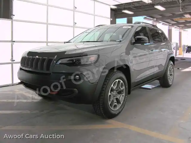 2022 Jeep Cherokee 1C4PJMBX1ND549235 — Manheim auction photo 1