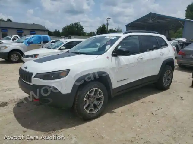 2022 Jeep Cherokee 1C4PJMBX2ND508483 — Copart auction photo 1