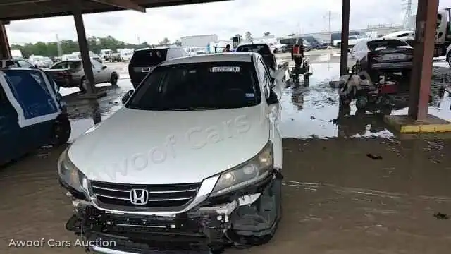 2014 Honda Accord 1HGCR2F58EA194135 — Copart auction photo 13