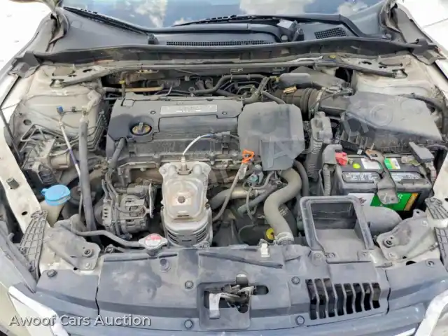 2013 Honda Accord 1HGCR2F87DA213895 — Copart auction photo 11