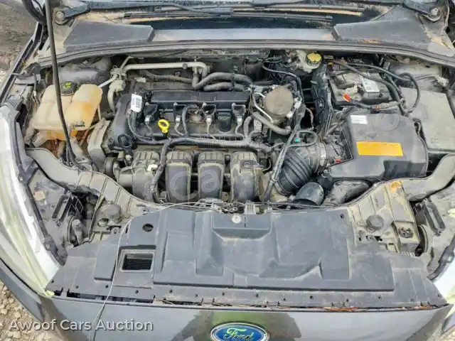 2016 Ford Focus 1FADP3N26GL299338 — Copart auction photo 11