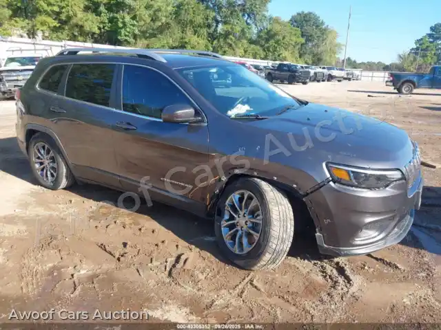 2019 Jeep Cherokee 1C4PJLLB9KD289871 — Iaai auction photo 1