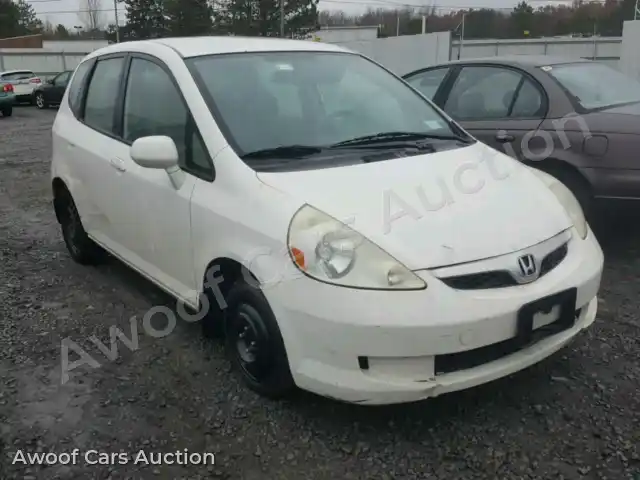 2007 Honda FIT JHMGD384X7S012553 — Copart auction photo 1